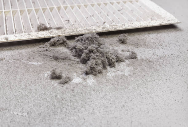 Best Local Air Duct Cleaning Services  in Rockton, IL